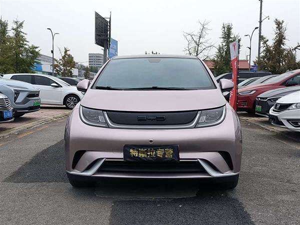 海豚 2021款 405km 时尚版