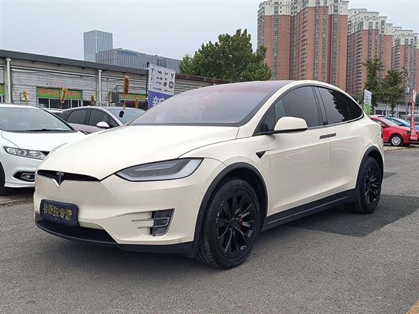 Model X 2017款 Model X 100D 长续航版