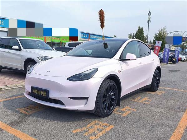 Model Y 2021款 长续航全轮驱动版