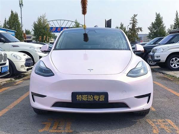 Model Y 2021款 长续航全轮驱动版