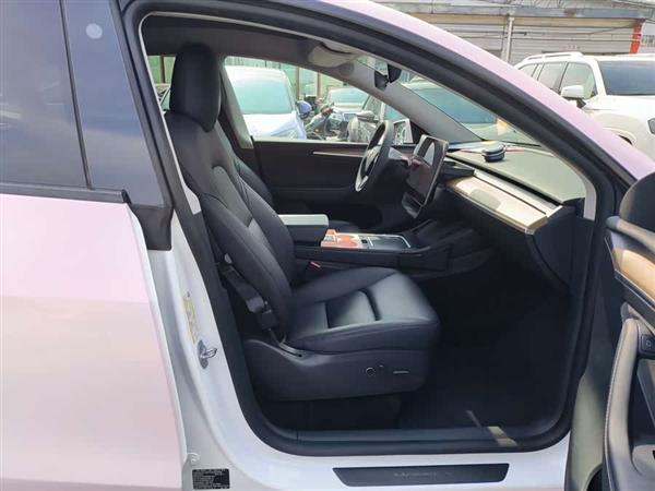 Model Y 2021款 长续航全轮驱动版