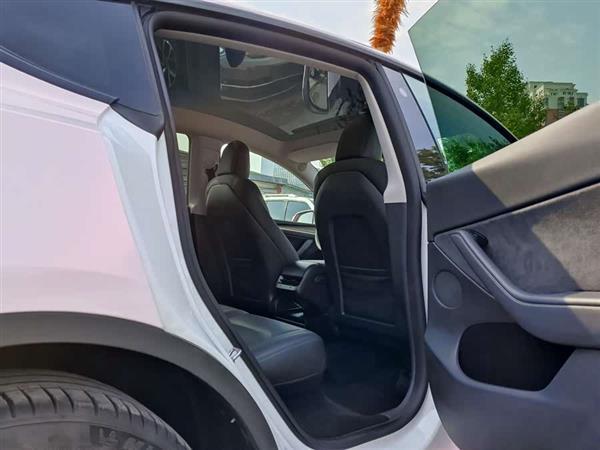 Model Y 2021款 长续航全轮驱动版