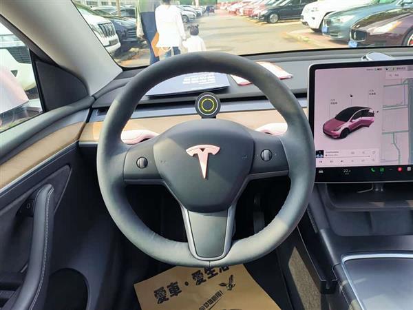 Model Y 2021款 长续航全轮驱动版
