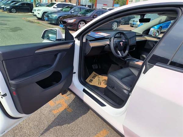 Model Y 2021款 长续航全轮驱动版