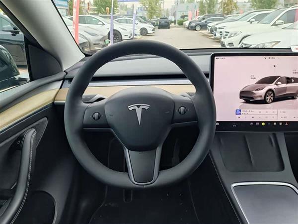Model Y 2022款 改款 长续航全轮驱动版