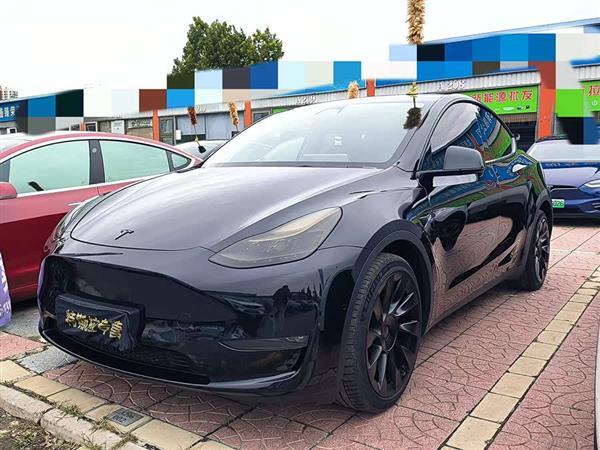 Model Y 2021款 长续航全轮驱动版