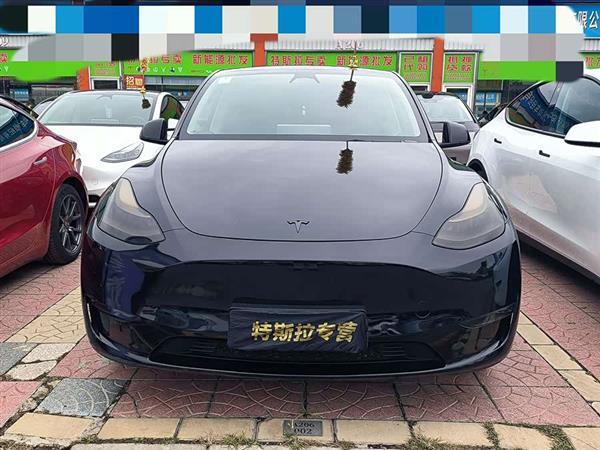 Model Y 2021款 长续航全轮驱动版