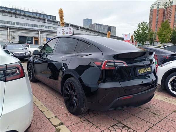 Model Y 2021款 长续航全轮驱动版