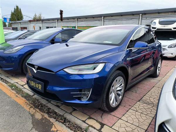Model X 2019款 长续航版