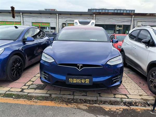 Model X 2019款 长续航版