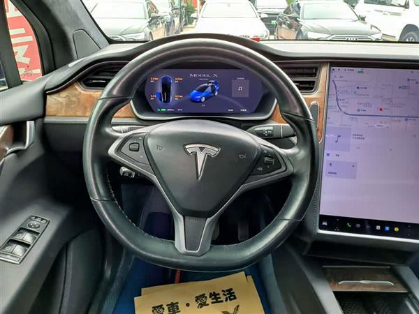 Model X 2019款 长续航版