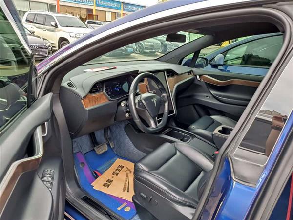 Model X 2019款 长续航版