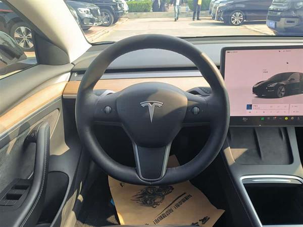 Model 3 2022款 后轮驱动版