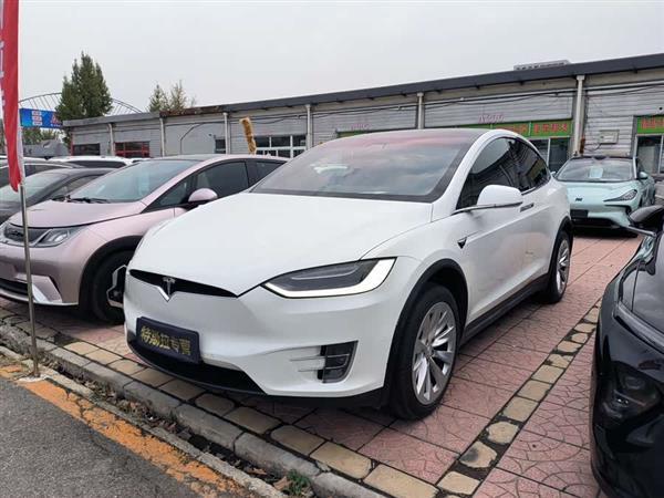 Model X 2017款 Model X 100D 长续航版