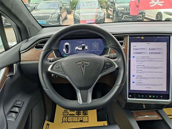 Model X 2017款 Model X 100D 长续航版