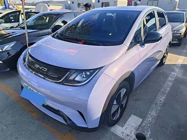 海豚 2023款 420km 自由版