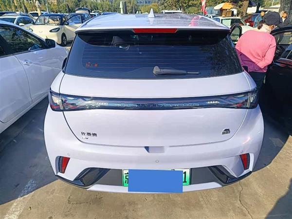 海豚 2023款 420km 自由版
