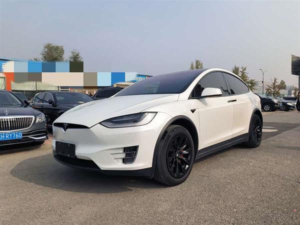 Model X 2019款 长续航版