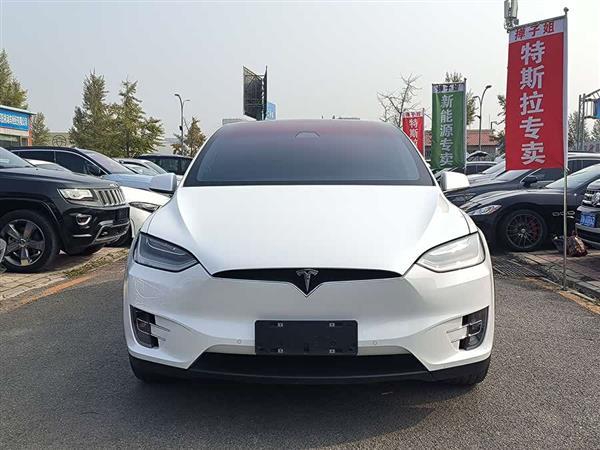 Model X 2019款 长续航版