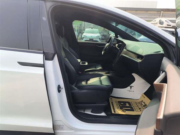 Model X 2019款 长续航版