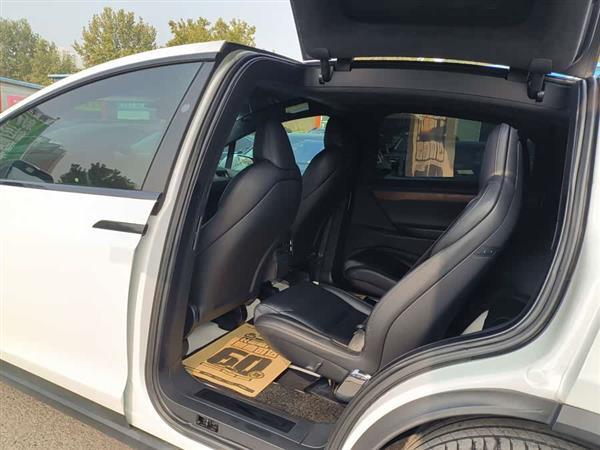 Model X 2019款 长续航版