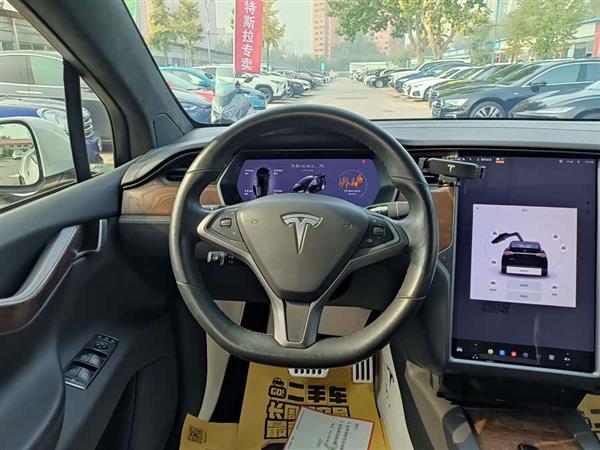 Model X 2019款 长续航版