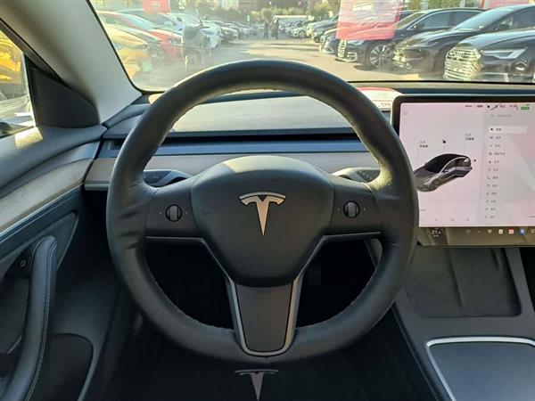 Model 3 2021款 改款 标准续航后驱升级版 3D1