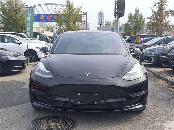 Model 3(进口) 2019款 Performance高性能全轮驱动版