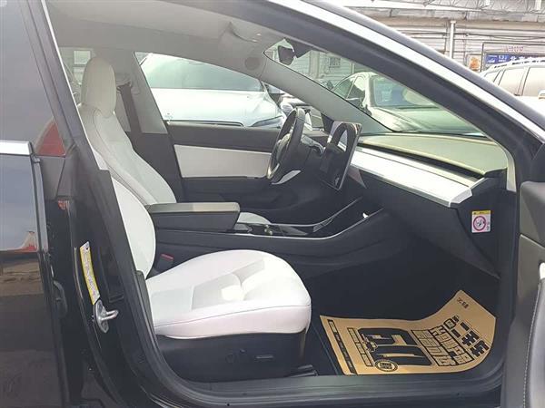 Model 3(进口) 2019款 Performance高性能全轮驱动版