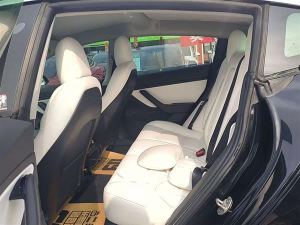 Model 3(进口) 2019款 Performance高性能全轮驱动版