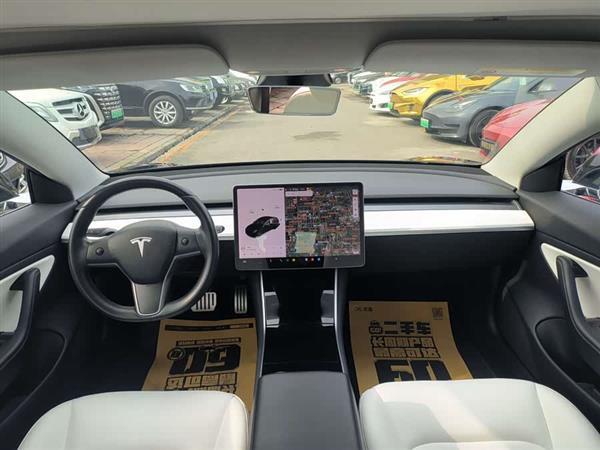 Model 3(进口) 2019款 Performance高性能全轮驱动版