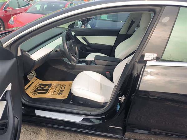 Model 3(进口) 2019款 Performance高性能全轮驱动版
