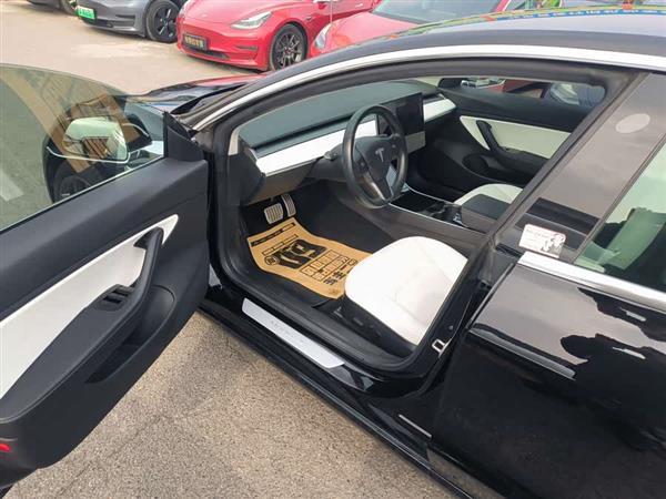 Model 3(进口) 2019款 Performance高性能全轮驱动版