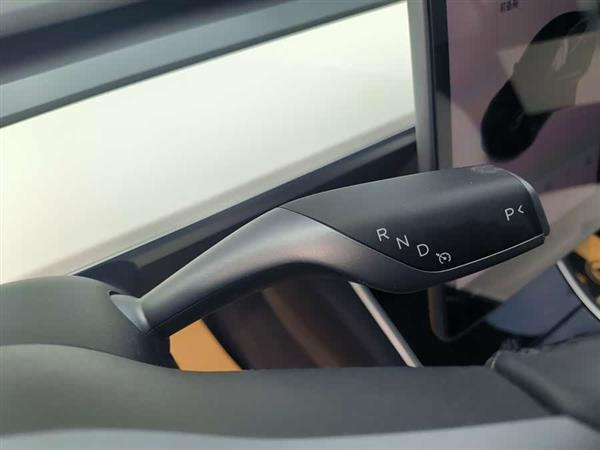 Model 3(进口) 2019款 Performance高性能全轮驱动版