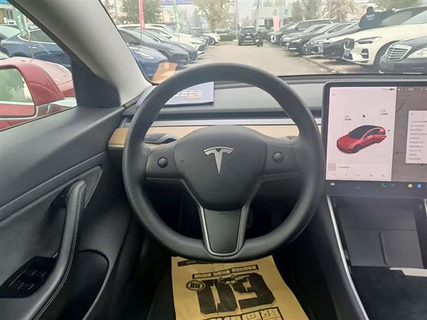 Model 3 2020款 改款 长续航后轮驱动版