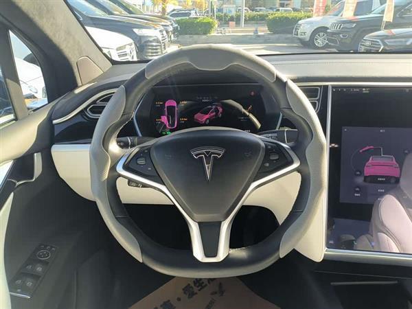 Model S 2017款 Model S 100D 长续航版