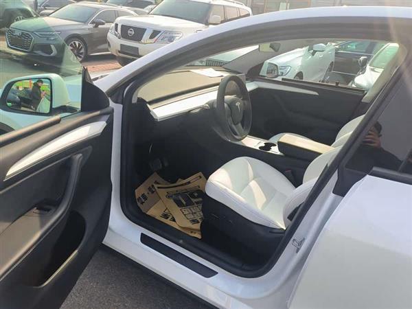 Model Y 2022款 改款 后轮驱动版