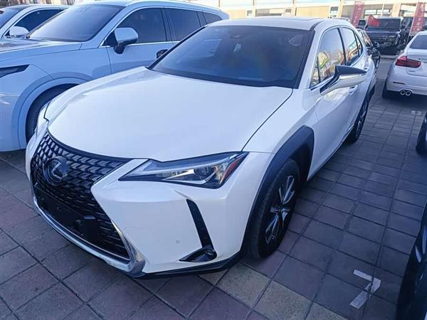 雷克萨斯UX新能源 2020款 300e 纯·享版