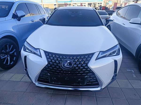 雷克萨斯UX新能源 2020款 300e 纯·享版