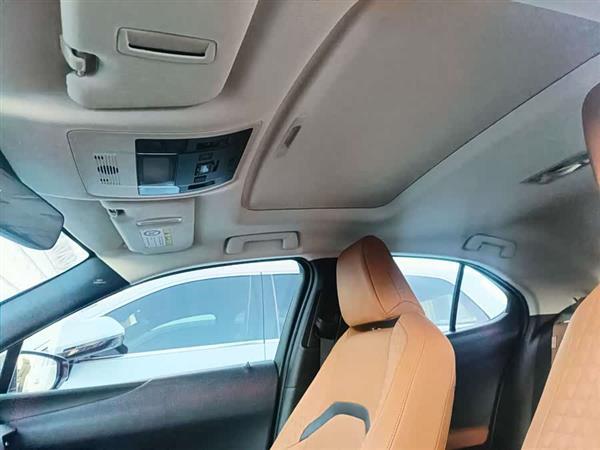 雷克萨斯UX新能源 2020款 300e 纯·享版