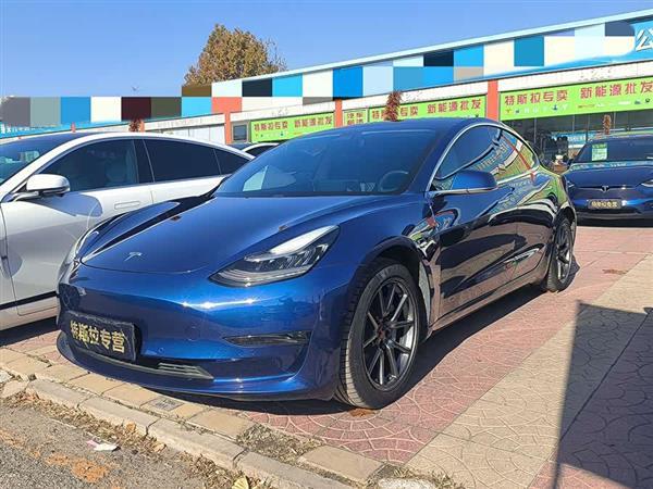 Model 3 2020款 改款 长续航后轮驱动版