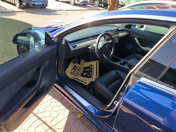 Model 3 2020款 改款 长续航后轮驱动版
