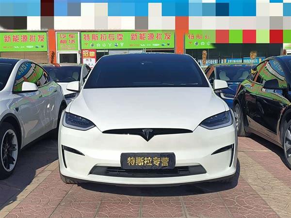 Model X 2023款 双电机全轮驱动版