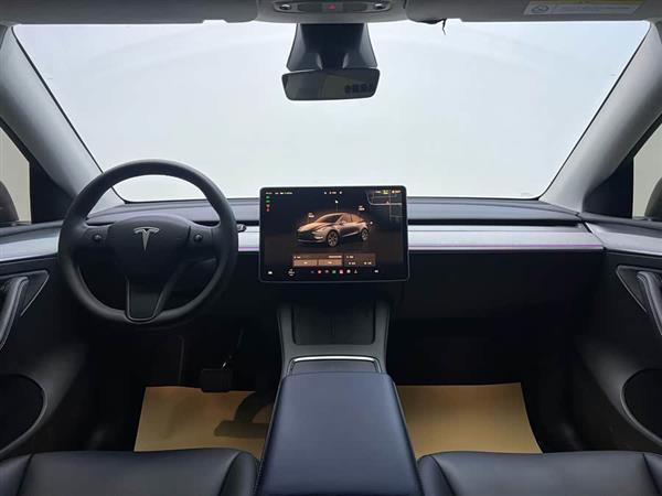 Model Y 2024款 长续航全轮驱动版