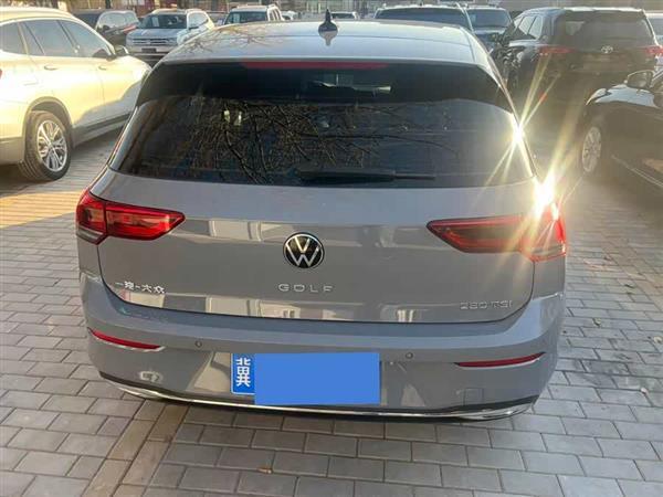 高尔夫 2024款 280TSI DSG Pro 乐享版