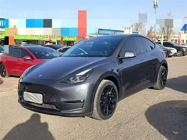 Model Y 2021款 长续航全轮驱动版 3D7