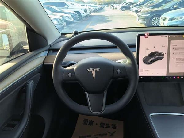 Model Y 2021款 长续航全轮驱动版 3D7