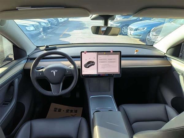 Model Y 2021款 长续航全轮驱动版 3D7
