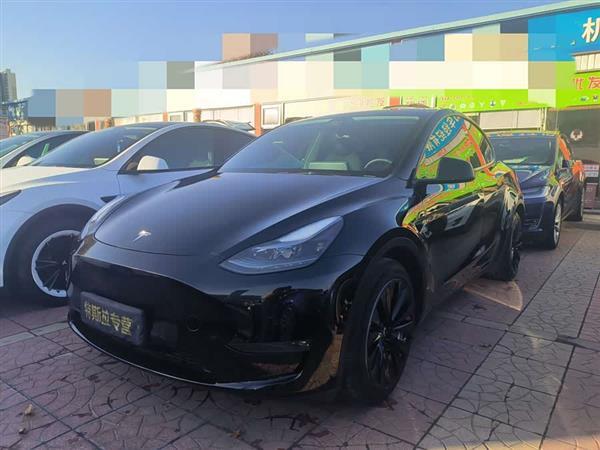 Model Y 2021款 标准续航后驱版