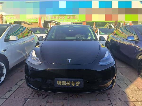 Model Y 2021款 标准续航后驱版